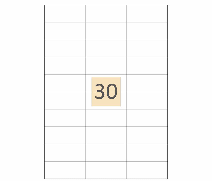 Square Cut Matt White Labels DPS30 (70mm x 30mm)