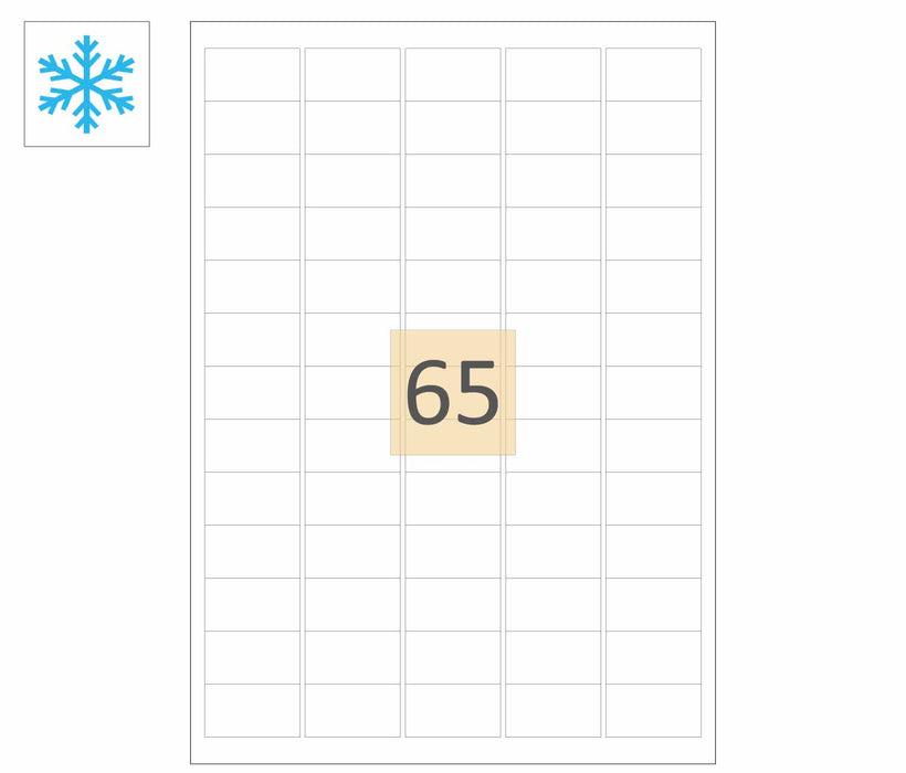 65 Freezer Adhesive Labels (38mm x 21mm)
