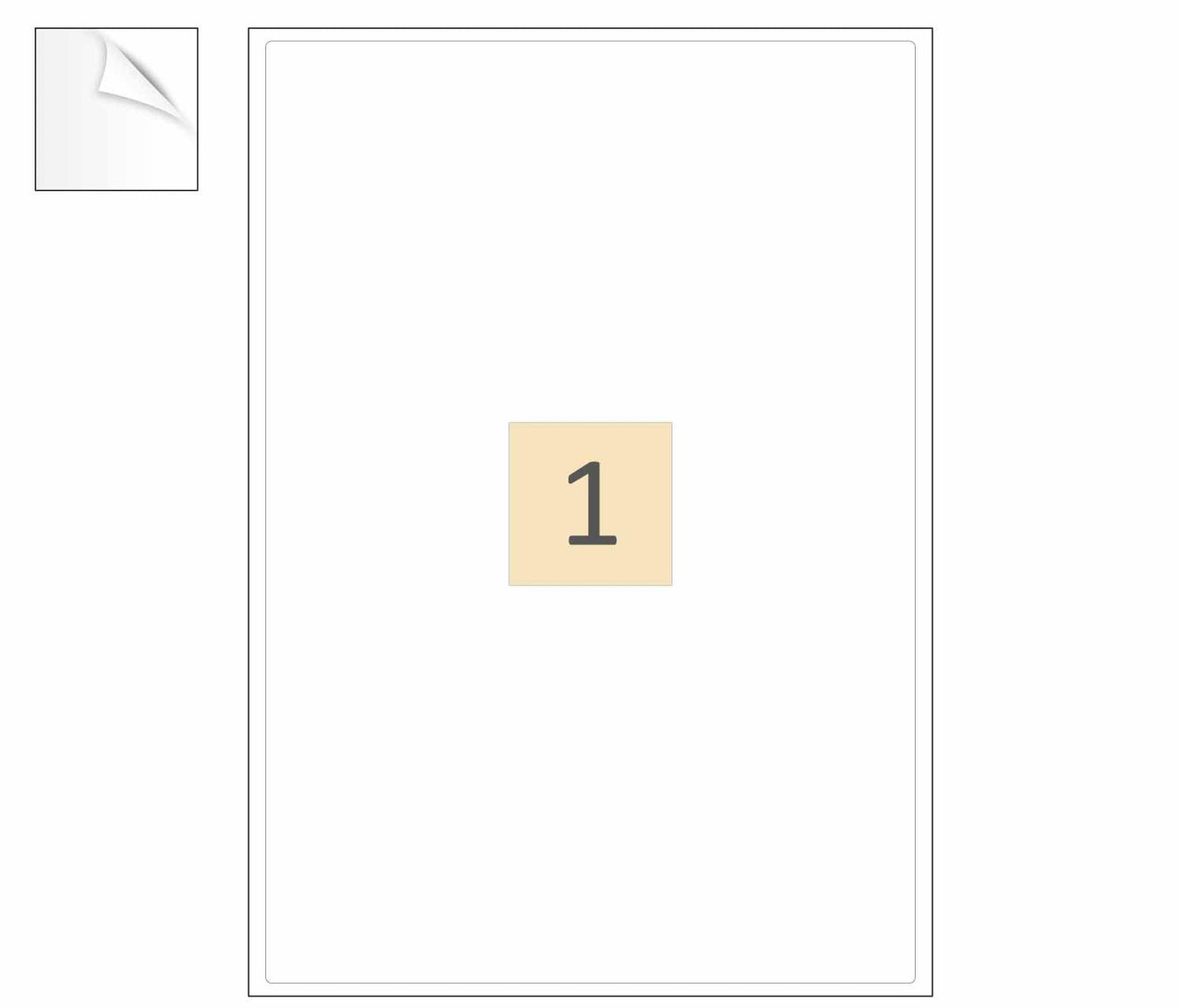 Removable Labels